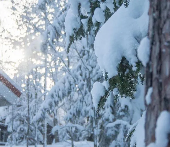 Villa Kurpitsa At Messila &